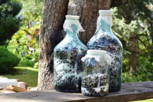 Owoce aronii w butelkach